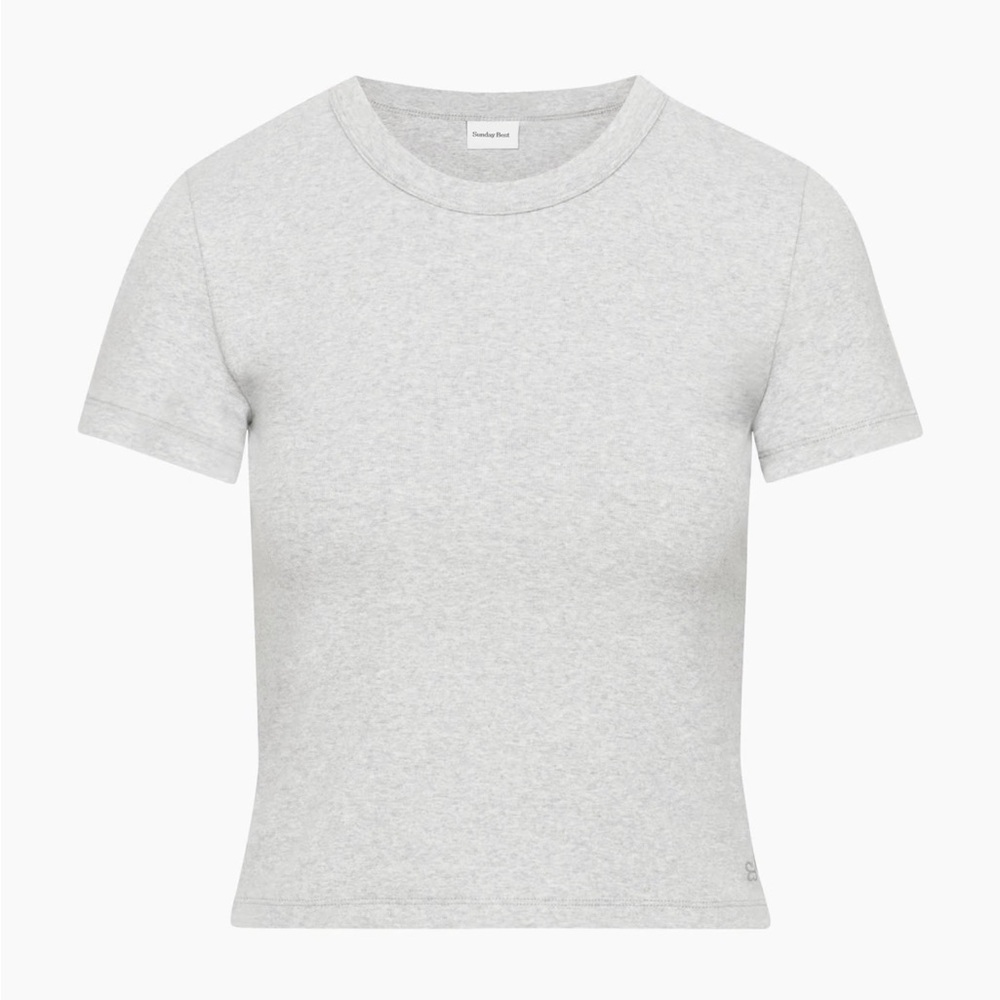 Aritzia Sunday Best Little Ribber T-Shirt